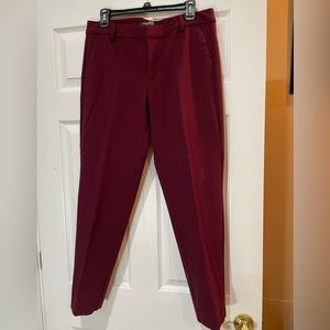 Liverpool Jean Company Knit Trousers - wine color